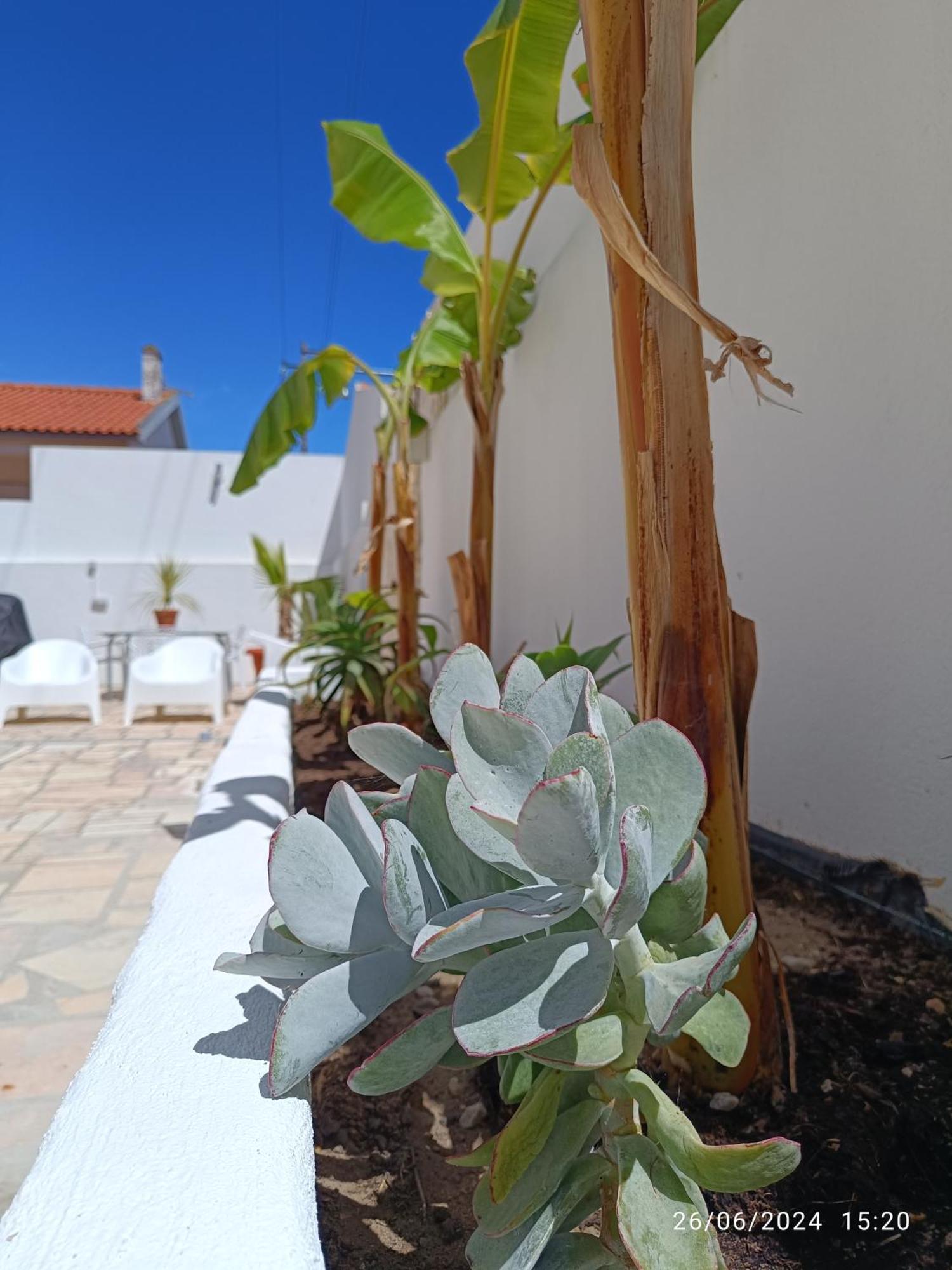 Bed and Breakfast Supertubos House Peniche Atouguia Da Baleia Exteriér fotografie